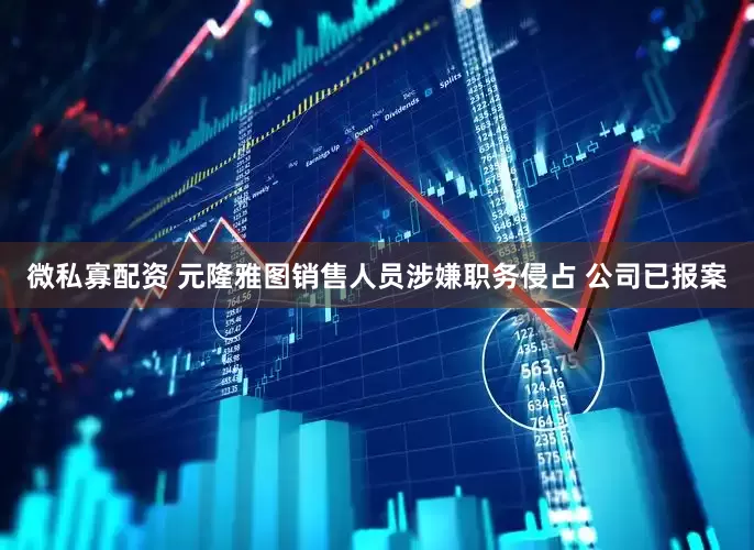 微私寡配资 元隆雅图销售人员涉嫌职务侵占 公司已报案
