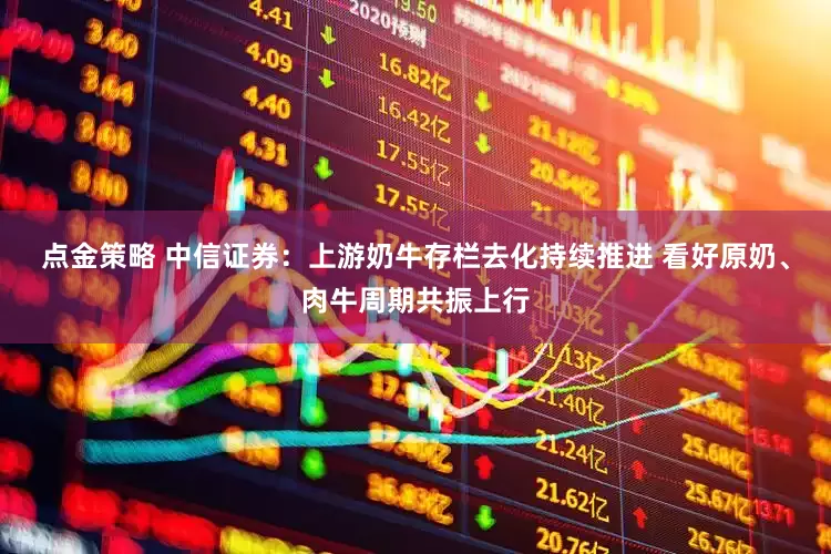 点金策略 中信证券：上游奶牛存栏去化持续推进 看好原奶、肉牛周期共振上行