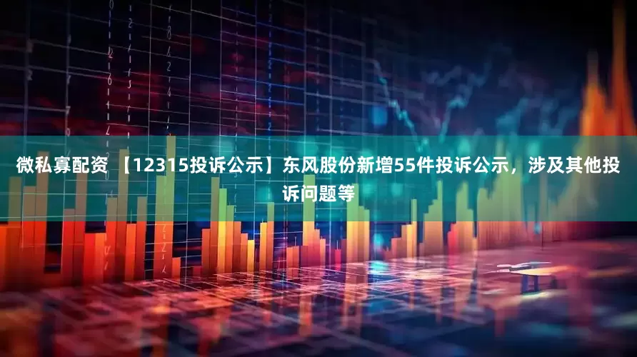 微私寡配资 【12315投诉公示】东风股份新增55件投诉公示，涉及其他投诉问题等