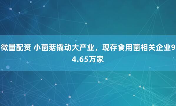 微量配资 小菌菇撬动大产业，现存食用菌相关企业94.65万家