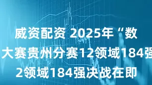 威资配资 2025年“数据要素×”大赛贵州分赛12领域184强决战在即