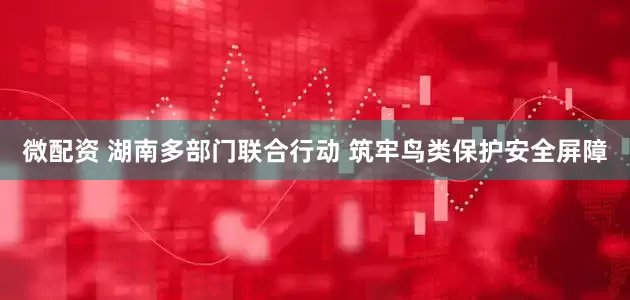微配资 湖南多部门联合行动 筑牢鸟类保护安全屏障