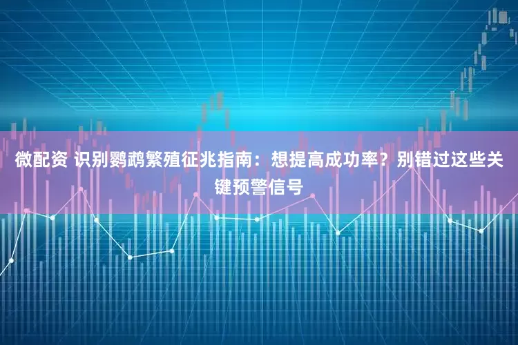 微配资 识别鹦鹉繁殖征兆指南：想提高成功率？别错过这些关键预警信号